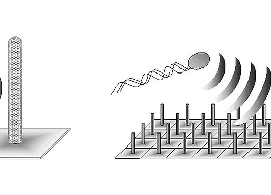 Champs de brindilles nanométriques