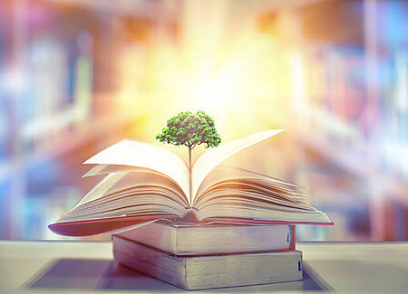 livre ouvert avec un petit arbre au milieu des pages