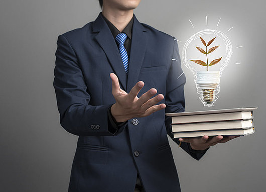 PAD Domaine Economie et Services homme d'affaires symbole idee sauvegarde planete