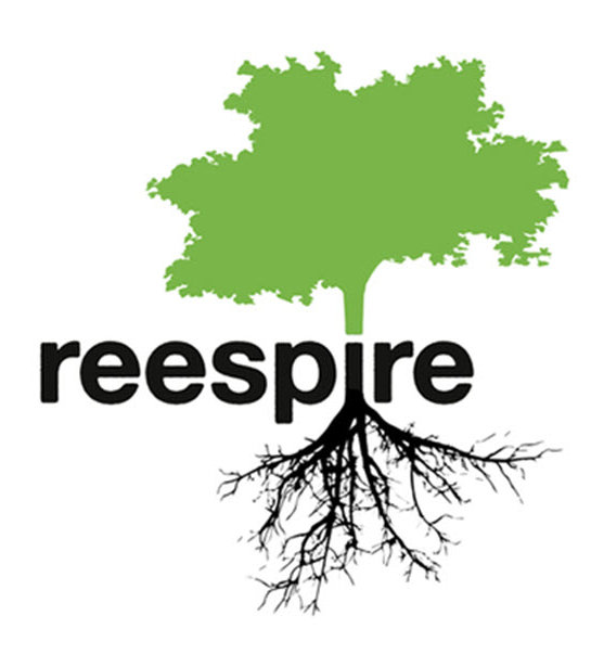 Logo REESPIRE