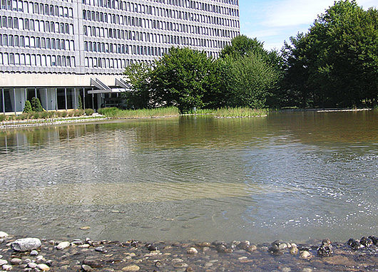 Etang construit sur la toiture du parking du Bureau International du Travail (BIT) à Genève.