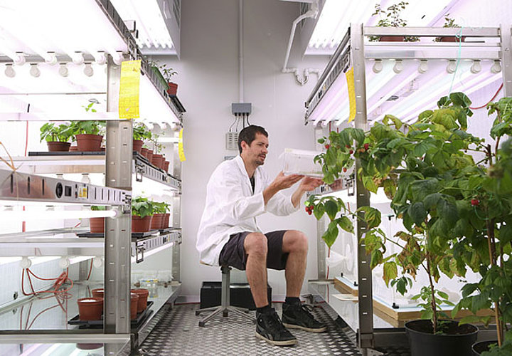 Bachelor Agronomie