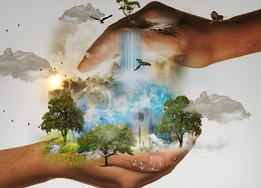 planete mains nature protection santé