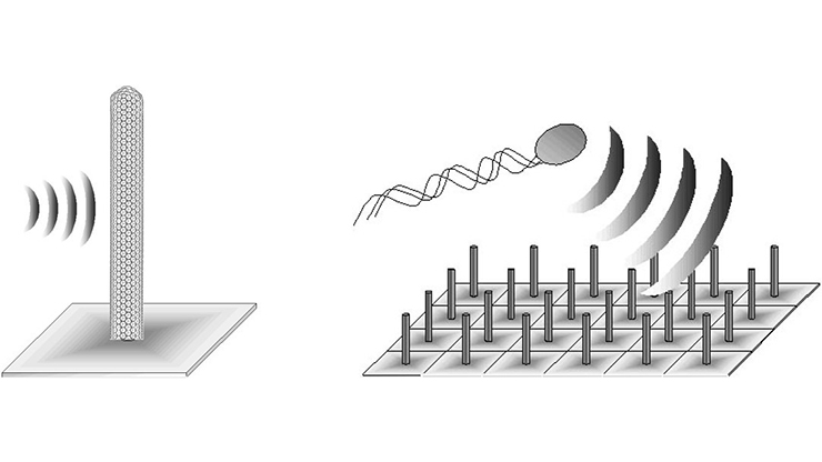 Champs de brindilles nanométriques