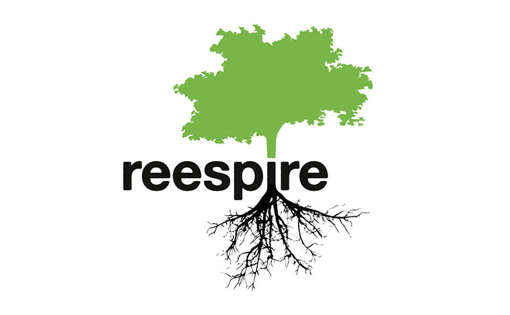 Logo REESPIRE Logo REESPIRE