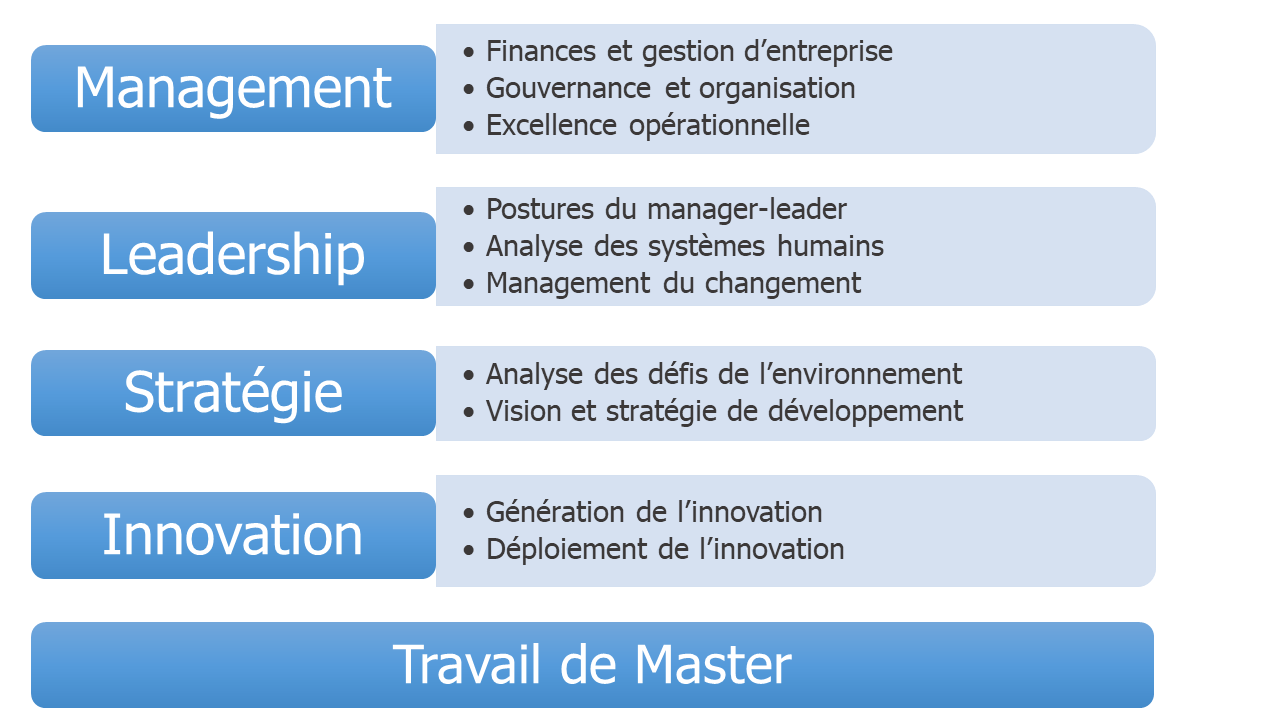 EMBA Management et Leadership modules